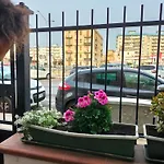 Ciuridda Mia Lejlighed Palermo