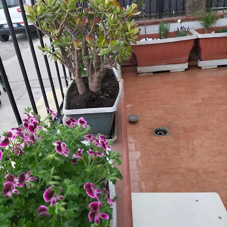 Ciuridda Mia Palermo