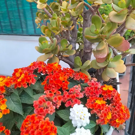 Apartamento Ciuridda Mia