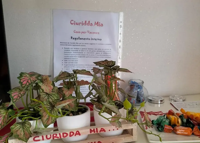 Ciuridda Mia