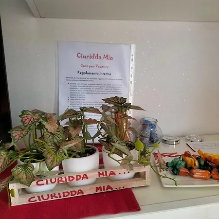 Ciuridda Mia